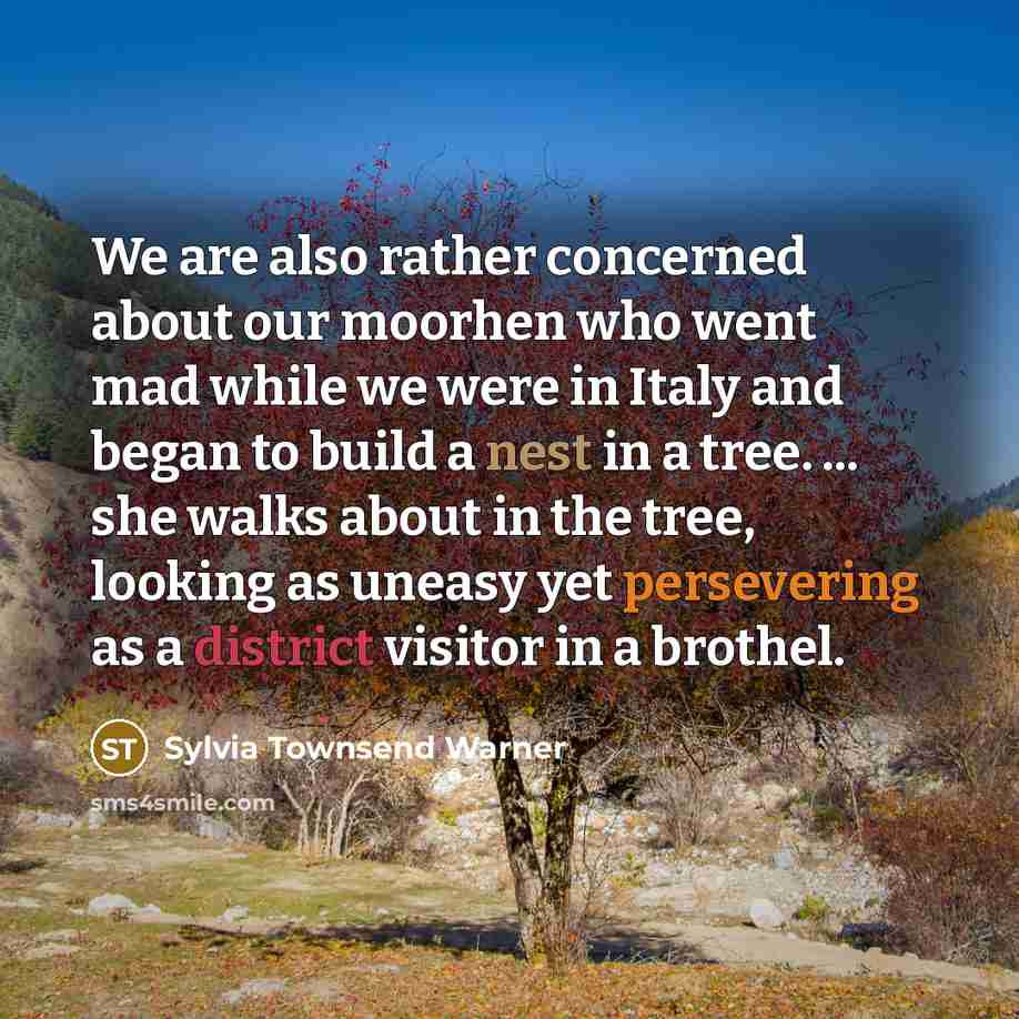 “We are also rather concerned about our moorhen who went mad while we were in Italy and began to build a nest in a tree. ... she walks about in the tree, looking as uneasy yet persevering as a district visitor in a brothel.” quote by Sylvia Townsend Warner