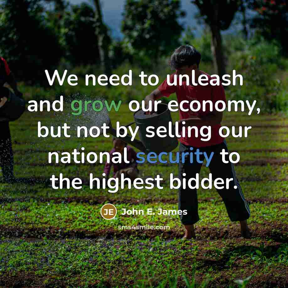“We need to unleash and grow our economy, but not by selling our national security to the highest bidder.” quote by John E. James
