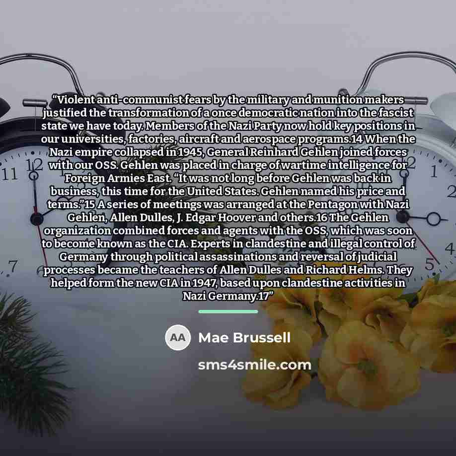 “Violent anti-communist fears by the military and munition makers justified the transformation of a once democratic nation into the fascist state we have today. Members of the Nazi Party now hold key positions in our universities, factories, aircraft and aerospace programs.14 When the Nazi empire…” quote by Mae Brussell