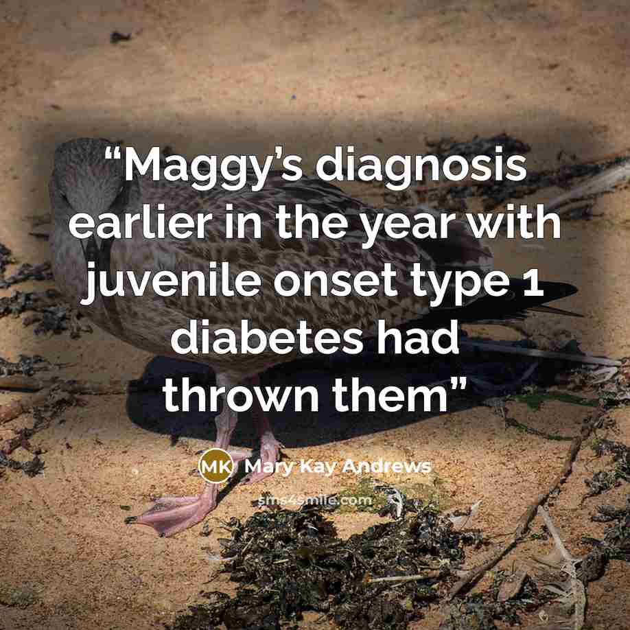 “Maggy’s diagnosis earlier in the year with juvenile onset type 1 diabetes had thrown them” quote by Mary Kay Andrews