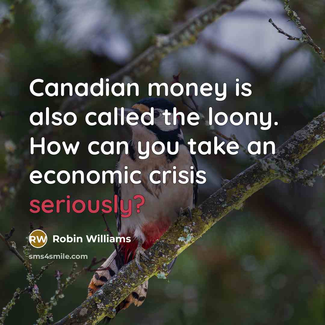 “Canadian money is also called the loony. How can you take an economic crisis seriously?” quote by Robin Williams