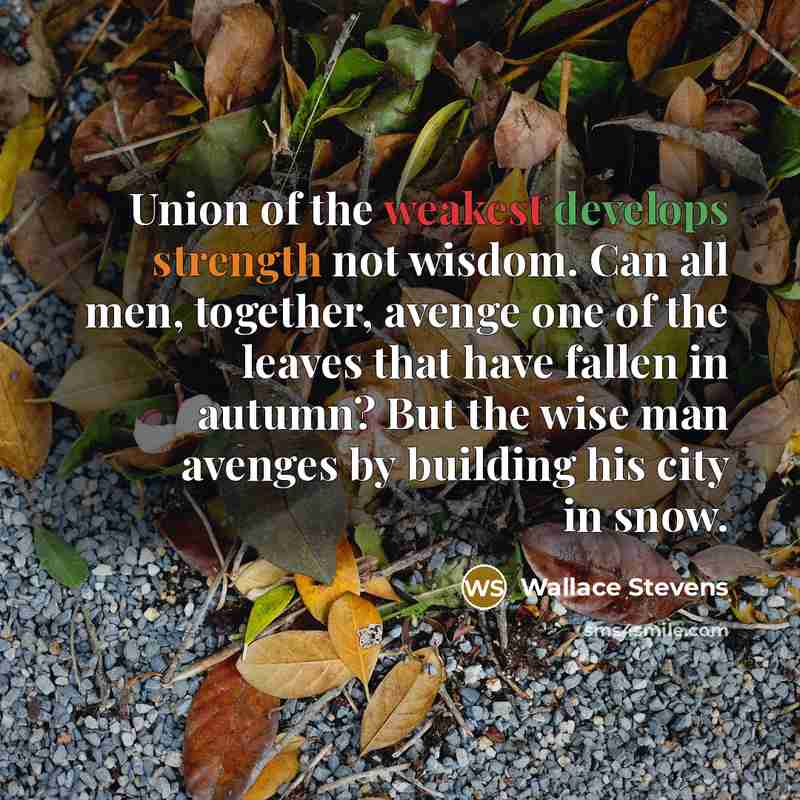 “Union of the weakest develops strength not wisdom. Can all men, together, avenge one of the leaves that have fallen in autumn? But the wise man avenges by building his city in snow.” quote by Wallace Stevens