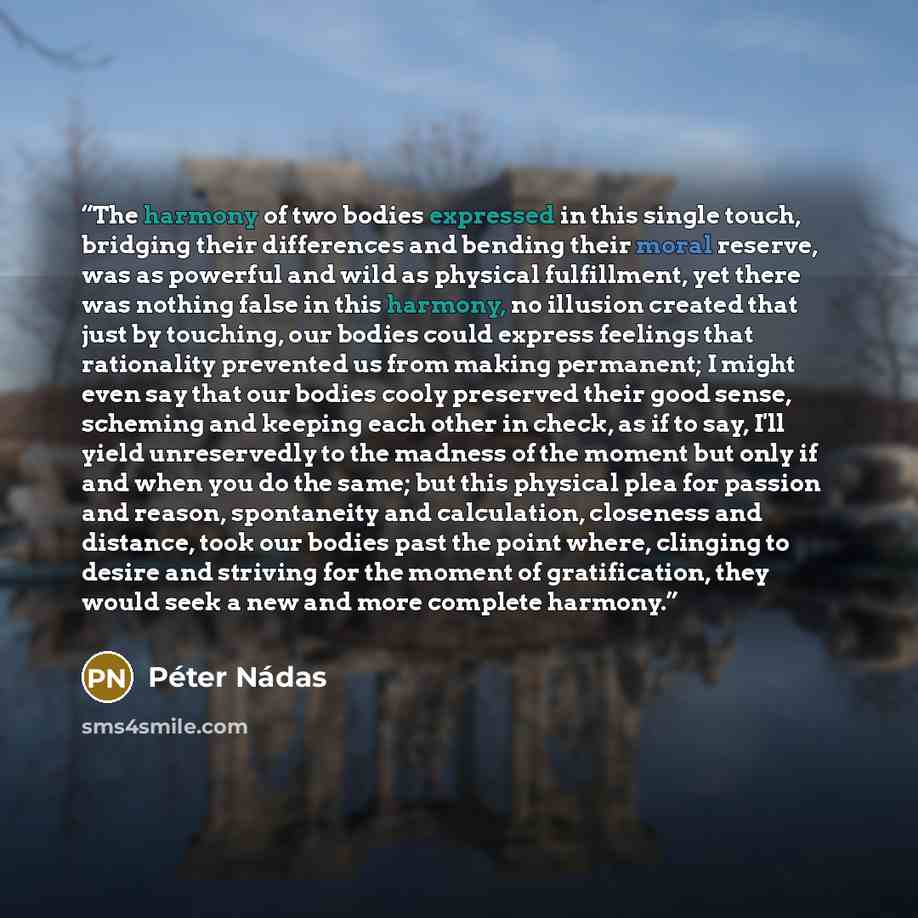 “The harmony of two bodies expressed in this single touch, bridging their differences and bending their moral reserve, was as powerful and wild as physical fulfillment, yet there was nothing false in this harmony, no illusion created that just by touching, our bodies could express feelings that…” quote by Peter Nadas