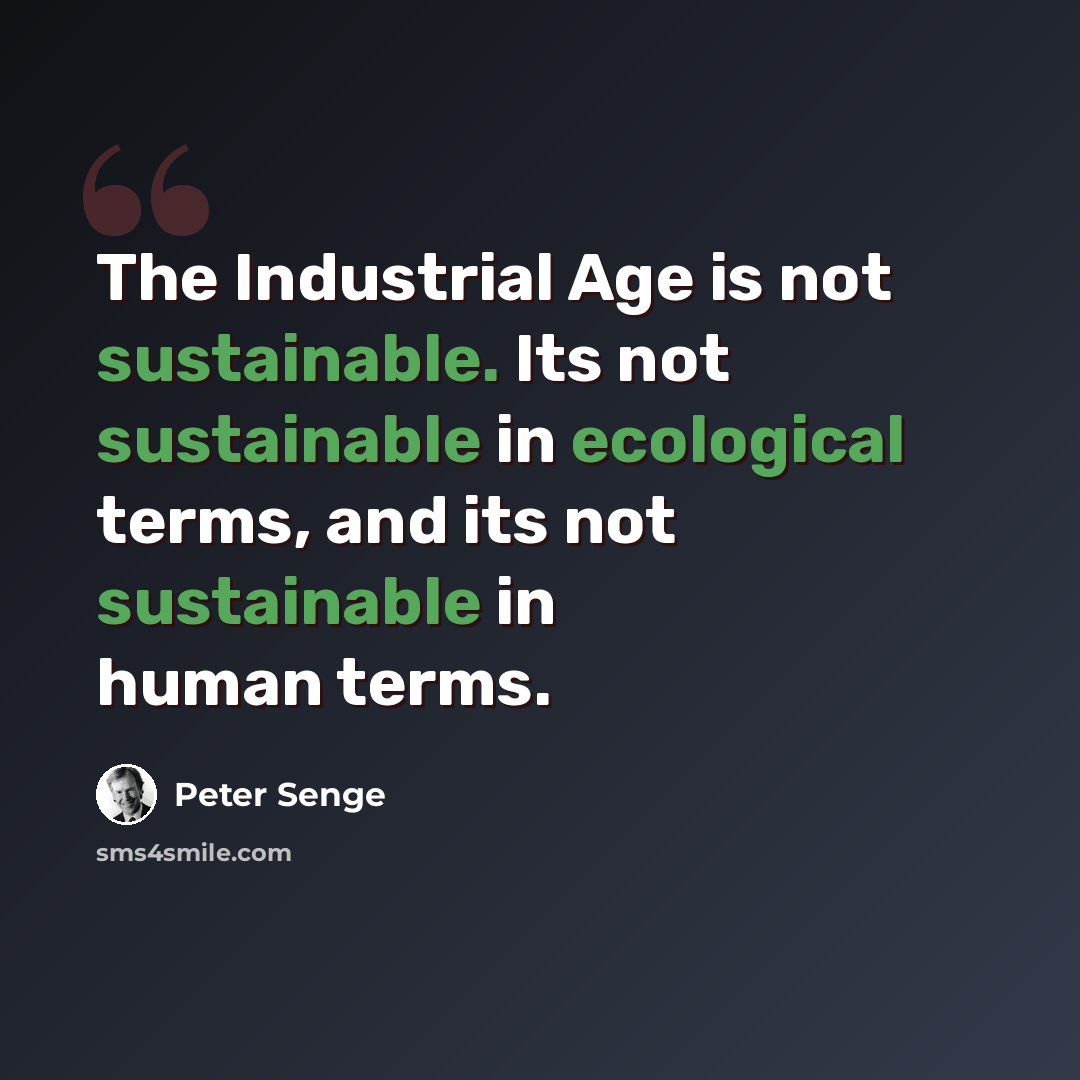 “The Industrial Age is not sustainable. Its not sustainable in ecological terms, and its not sustainable in human terms.” quote by Peter Senge