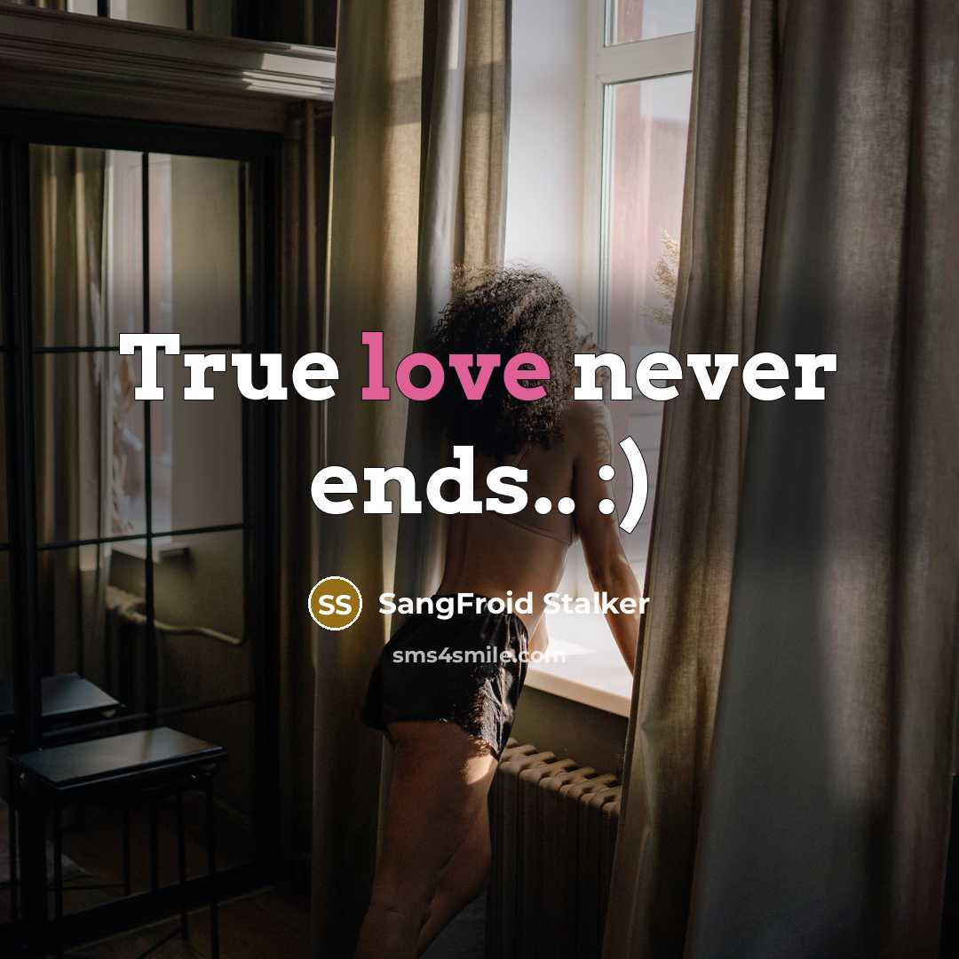 “True love never ends.. :)” quote by SangFroid Stalker