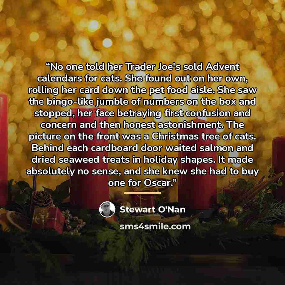 “No one told her Trader Joe's sold Advent calendars for cats. She found out on her own, rolling her card down the pet food aisle. She saw the bingo-like jumble of numbers on the box and stopped, her face betraying first confusion and concern and then honest astonishment. The picture on the front…” quote by Stewart O'Nan