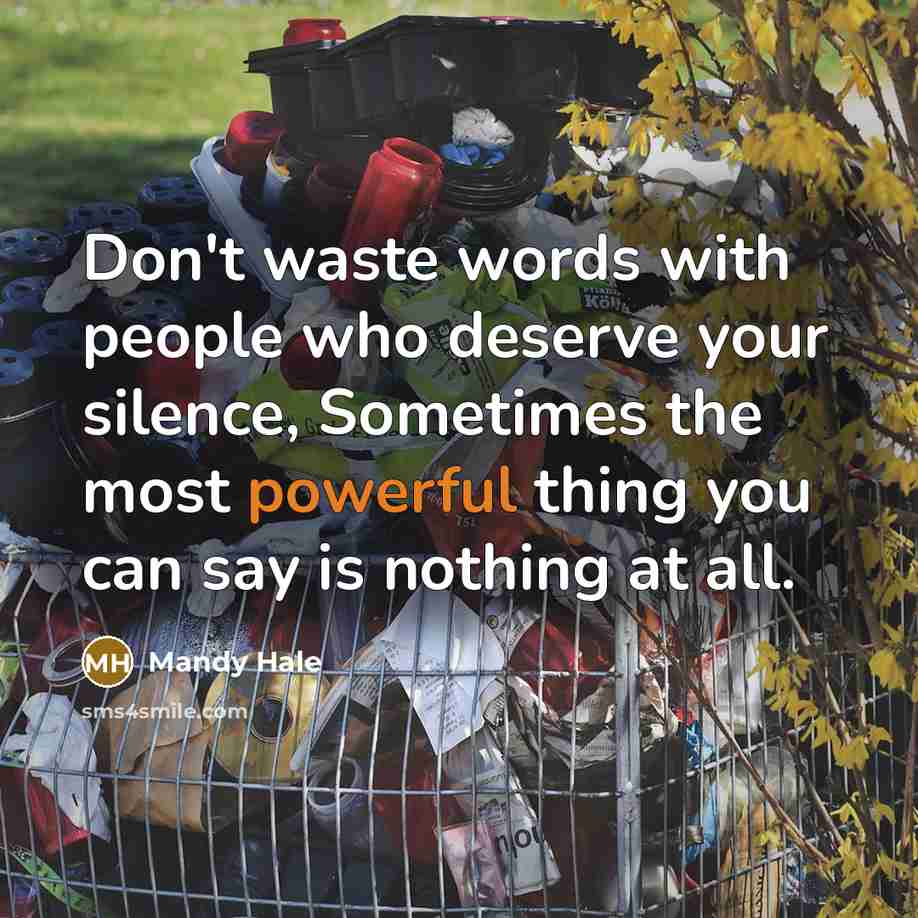 “Don't waste words with people who deserve your silence, Sometimes the most powerful thing you can say is nothing at all.” quote by Mandy Hale