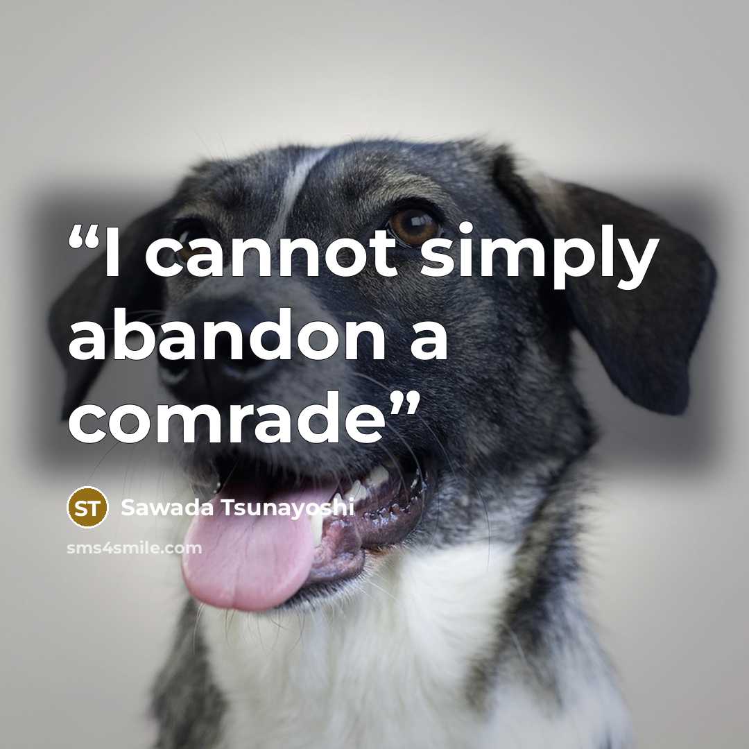 “I cannot simply abandon a comrade” quote by Sawada Tsunayoshi