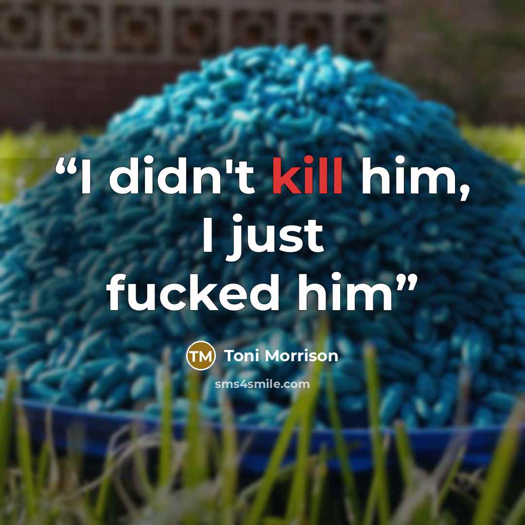 “I didn't kill him, I just fucked him” quote by Toni Morrison