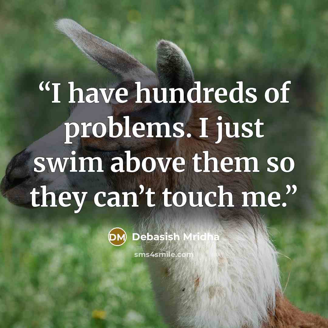 “I have hundreds of problems. I just swim above them so they can’t touch me.” quote by Debasish Mridha