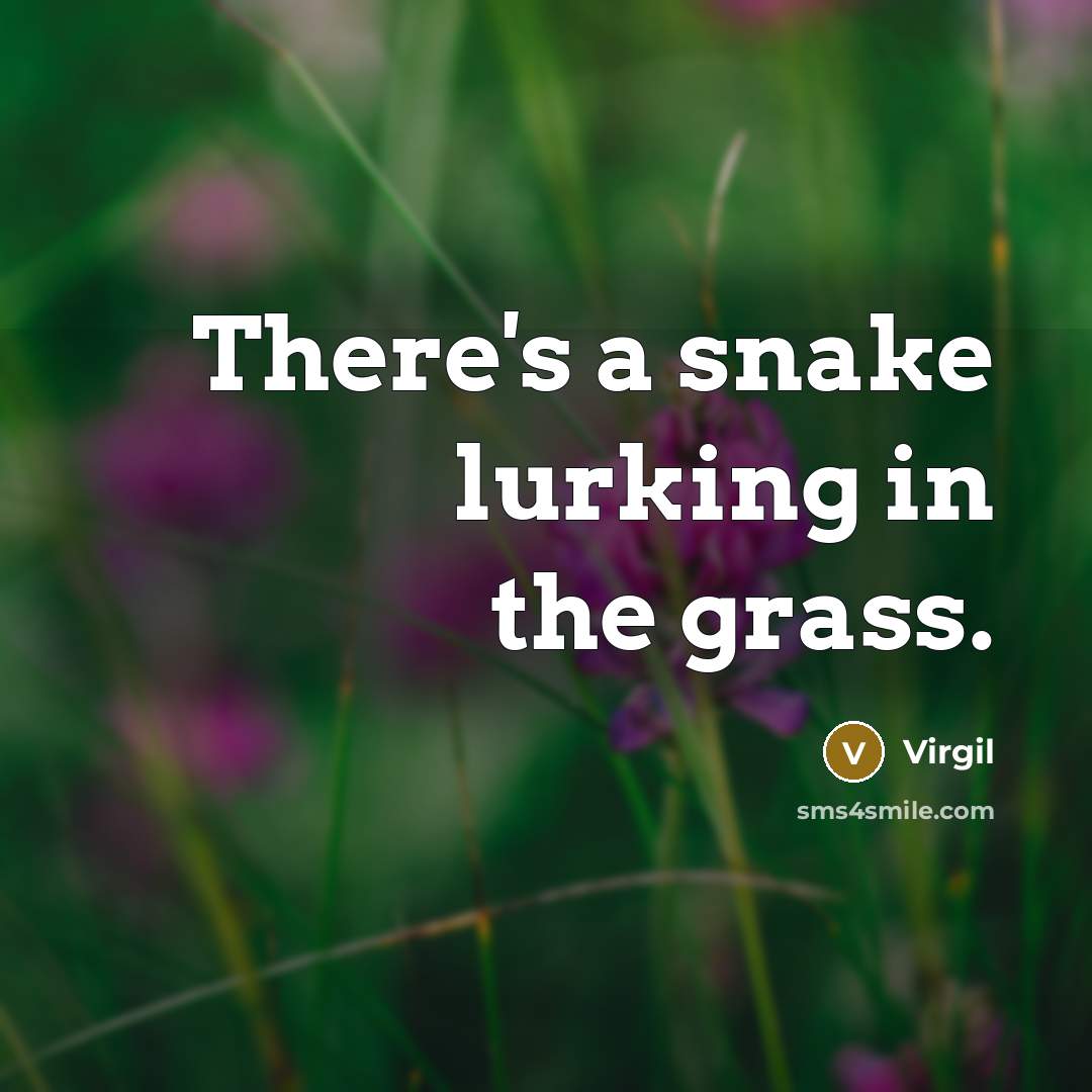 “There's a snake lurking in the grass.” quote by Virgil