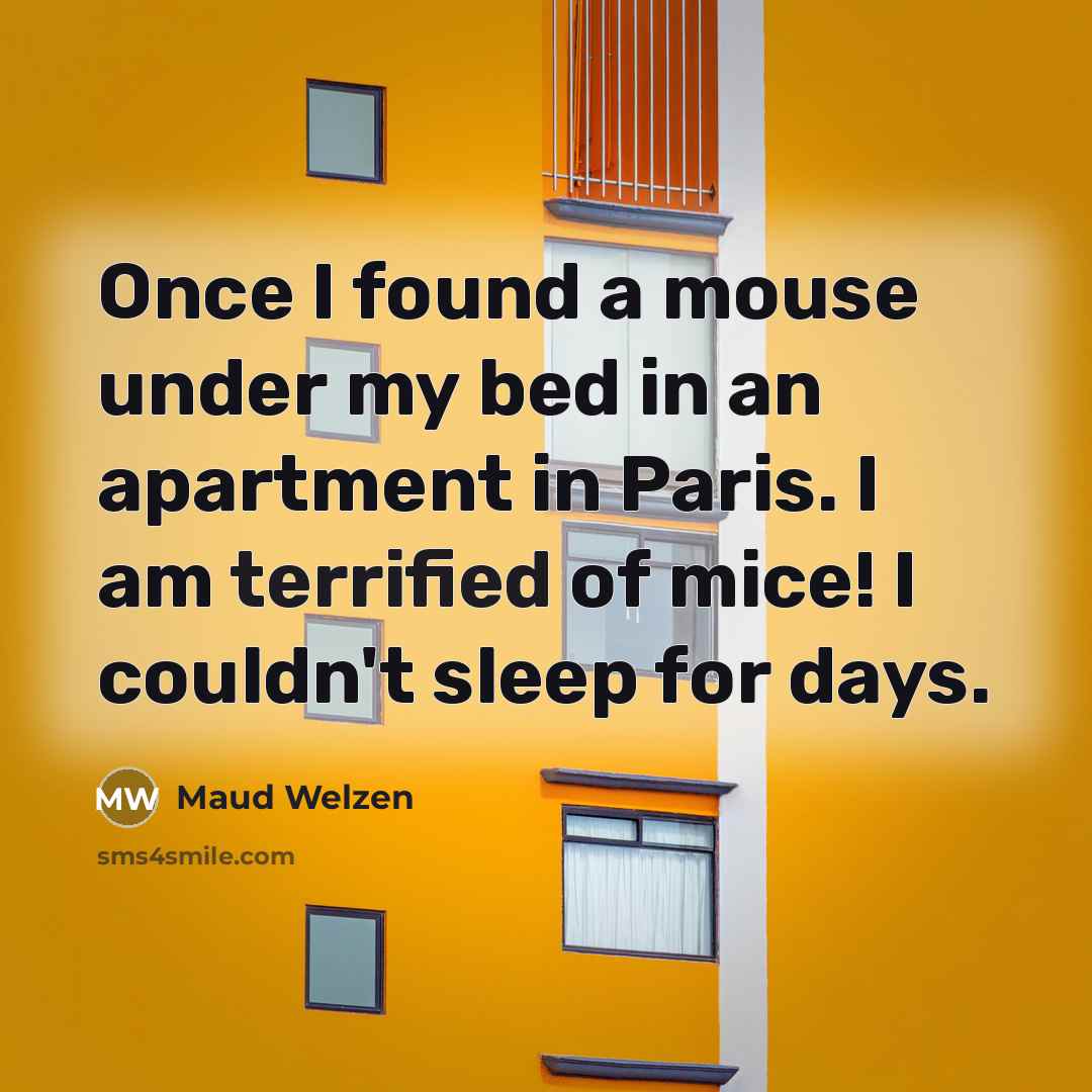 “Once I found a mouse under my bed in an apartment in Paris. I am terrified of mice! I couldn't sleep for days.” quote by Maud Welzen