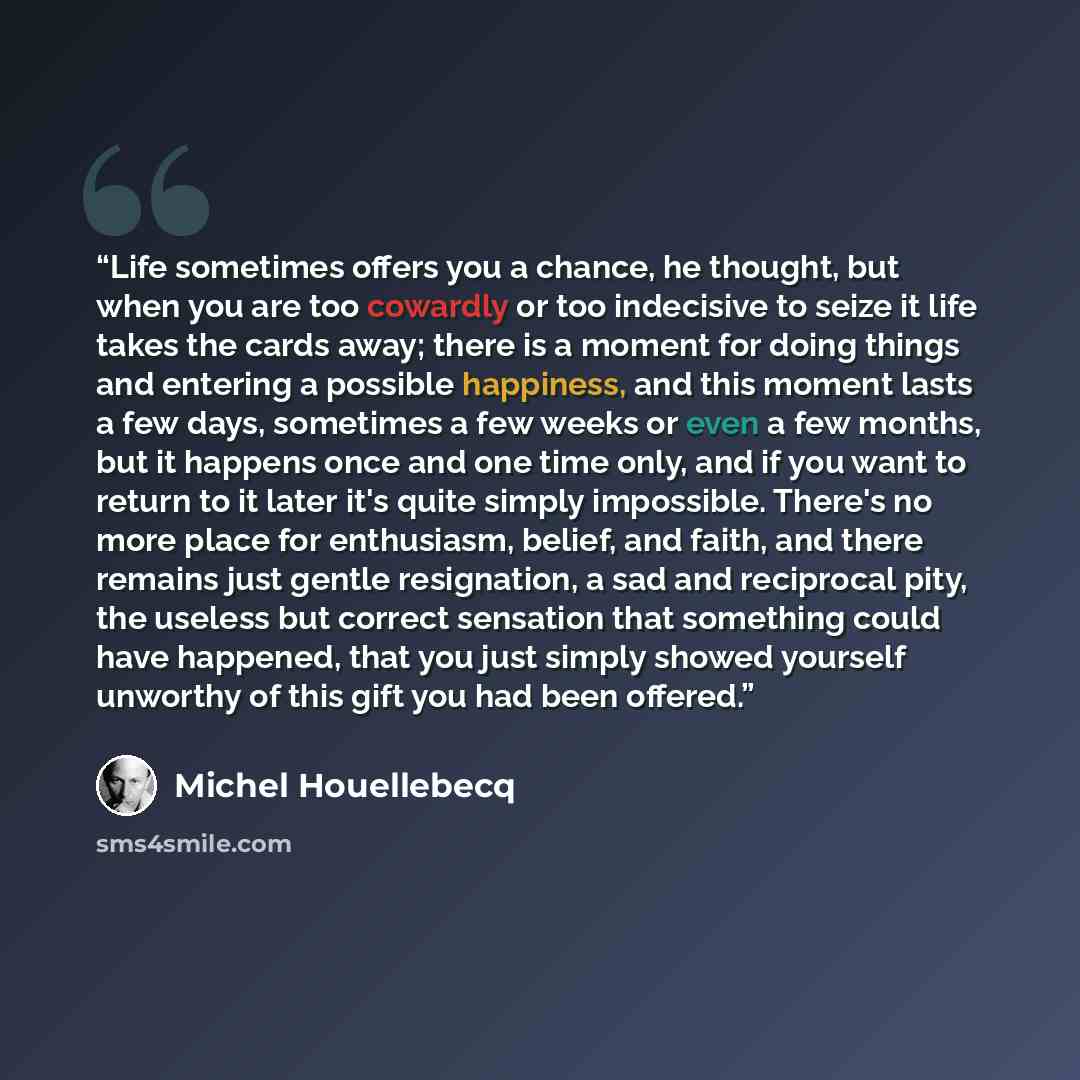 “Life sometimes offers you a chance, he thought, but when you are too cowardly or too indecisive to seize it life takes the cards away; there is a moment for doing things and entering a possible happiness, and this moment lasts a few days, sometimes a few weeks or even a few months, but it happens…” quote by Michel Houellebecq