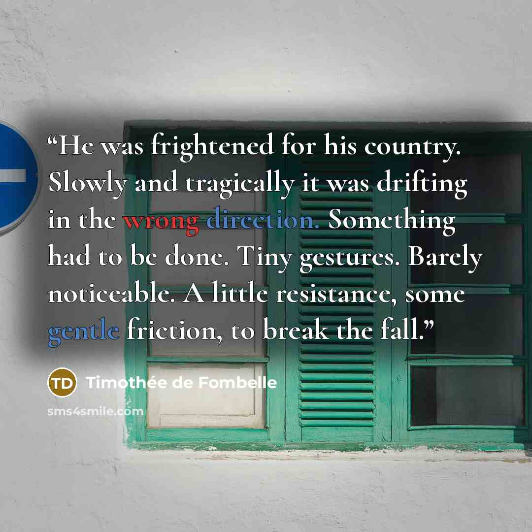 “He was frightened for his country. Slowly and tragically it was drifting in the wrong direction. Something had to be done. Tiny gestures. Barely noticeable. A little resistance, some gentle friction, to break the fall.” quote by Timothée de Fombelle