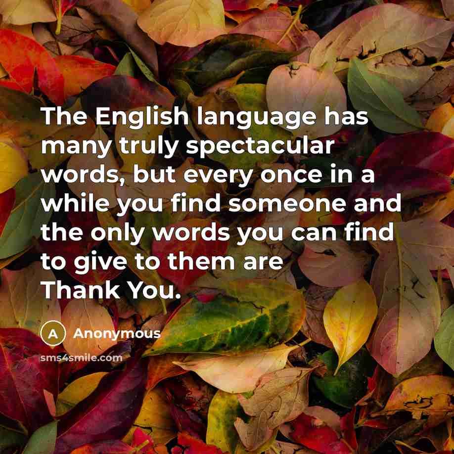 “The English language has many truly spectacular words, but every once in a while you find someone and the only words you can find to give to them are Thank You.” quote by Anonymous