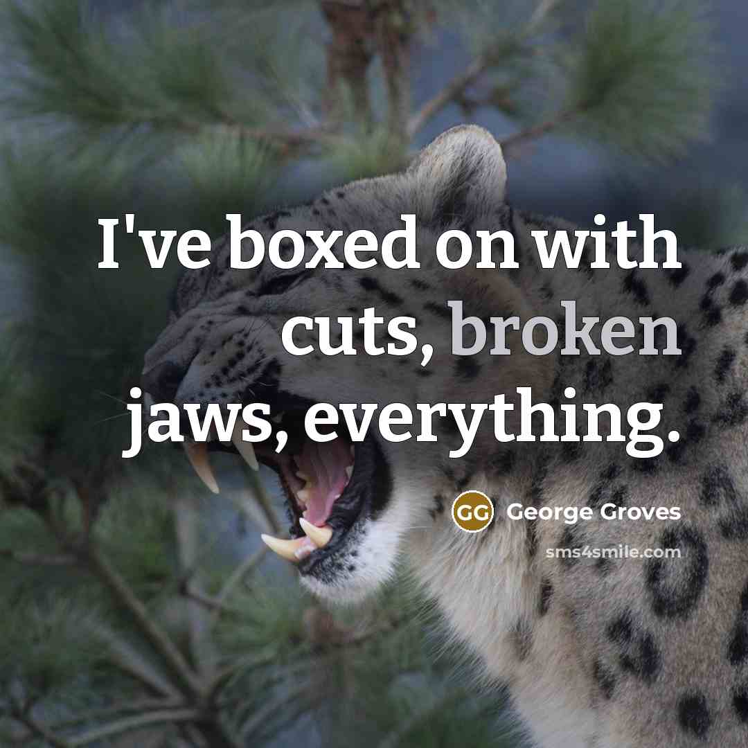 “I've boxed on with cuts, broken jaws, everything.” quote by George Groves
