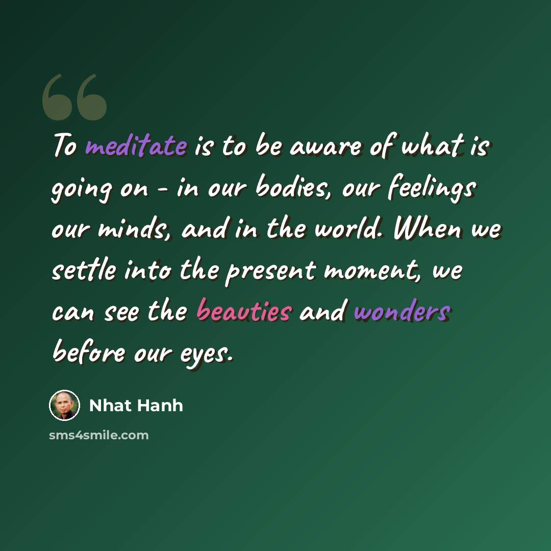 “To meditate is to be aware of what is going on - in our bodies, our feelings our minds, and in the world. When we settle into the present moment, we can see the beauties and wonders before our eyes.” quote by Nhat Hanh