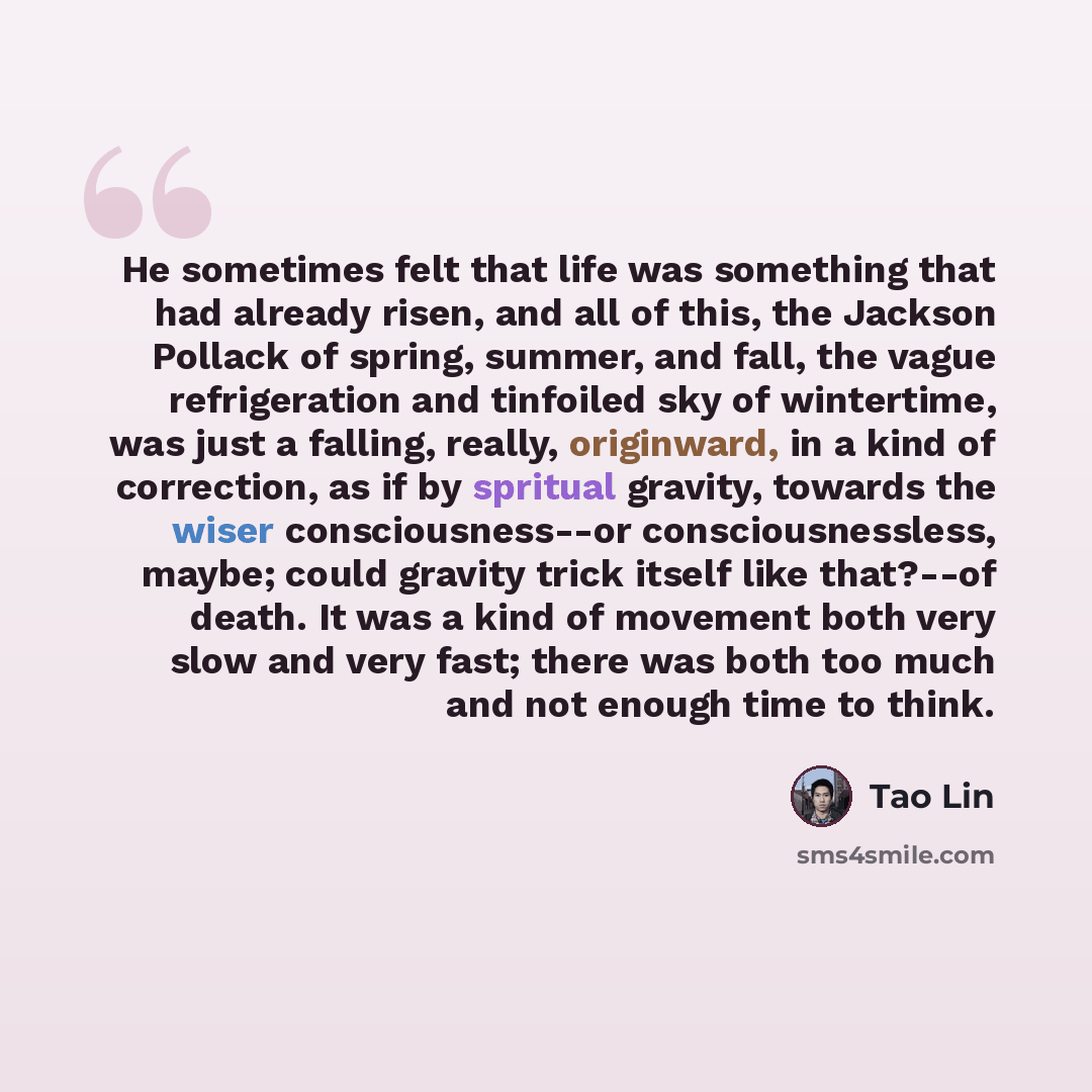 “He sometimes felt that life was something that had already risen, and all of this, the Jackson Pollack of spring, summer, and fall, the vague refrigeration and tinfoiled sky of wintertime, was just a falling, really, originward, in a kind of correction, as if by spritual gravity, towards the wiser…” quote by Tao Lin
