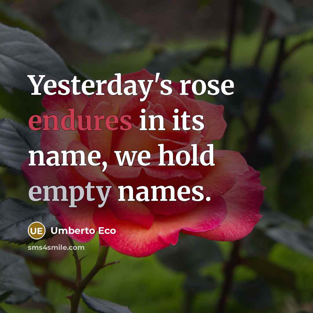 “Yesterday's rose endures in its name, we hold empty names.” quote by Umberto Eco