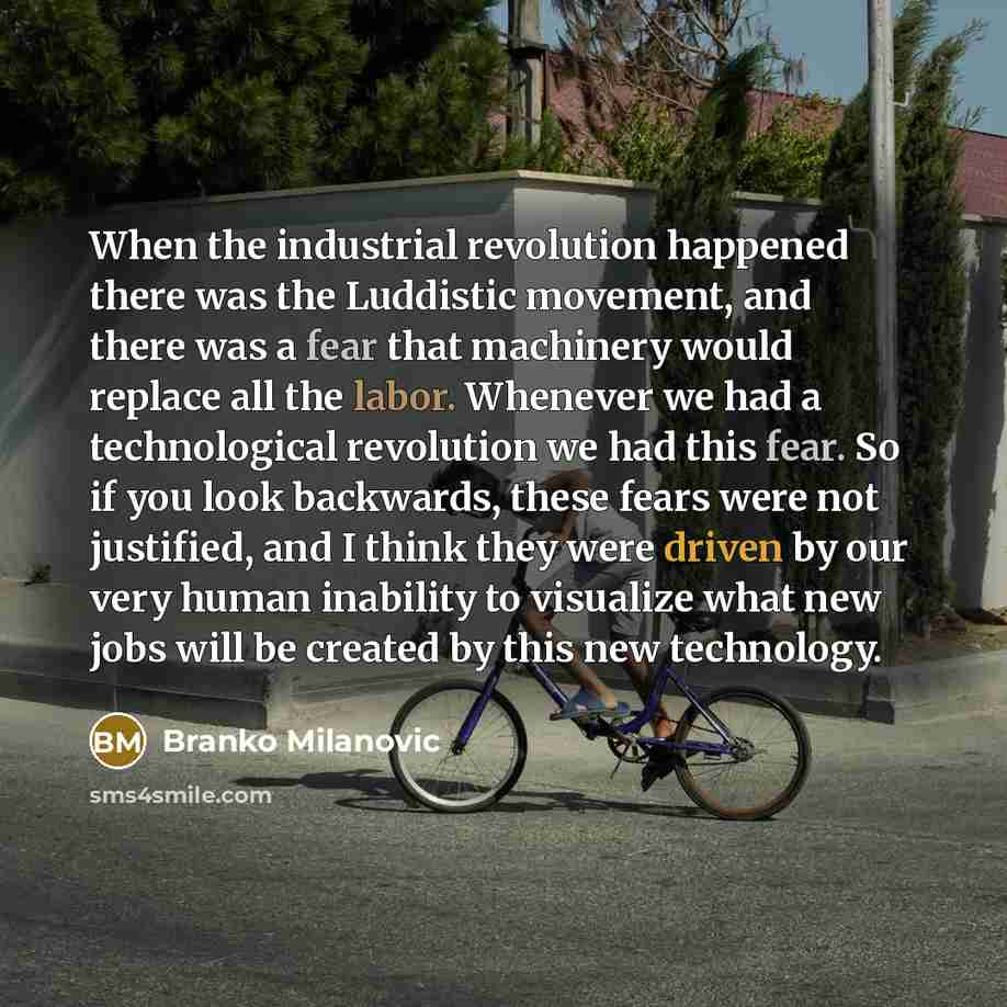 “When the industrial revolution happened there was the Luddistic movement, and there was a fear that machinery would replace all the labor. Whenever we had a technological revolution we had this fear. So if you look backwards, these fears were not justified, and I think they were driven by our very…” quote by Branko Milanovic