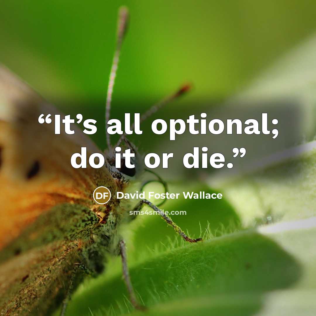 “It’s all optional; do it or die.” quote by David Foster Wallace