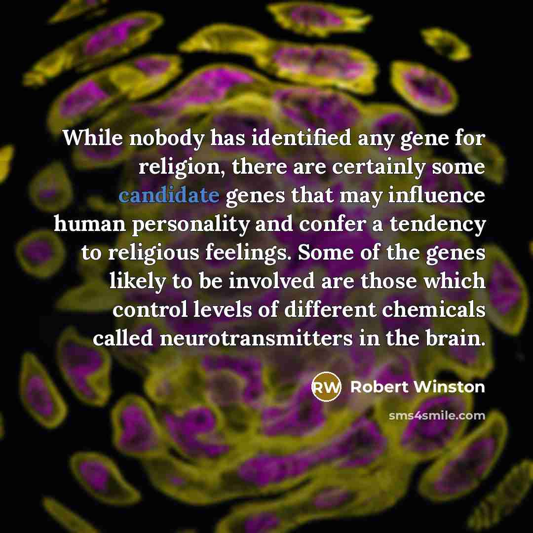 “While nobody has identified any gene for religion, there are certainly some candidate genes that may influence human personality and confer a tendency to religious feelings. Some of the genes likely to be involved are those which control levels of different chemicals called neurotransmitters in…” quote by Robert Winston