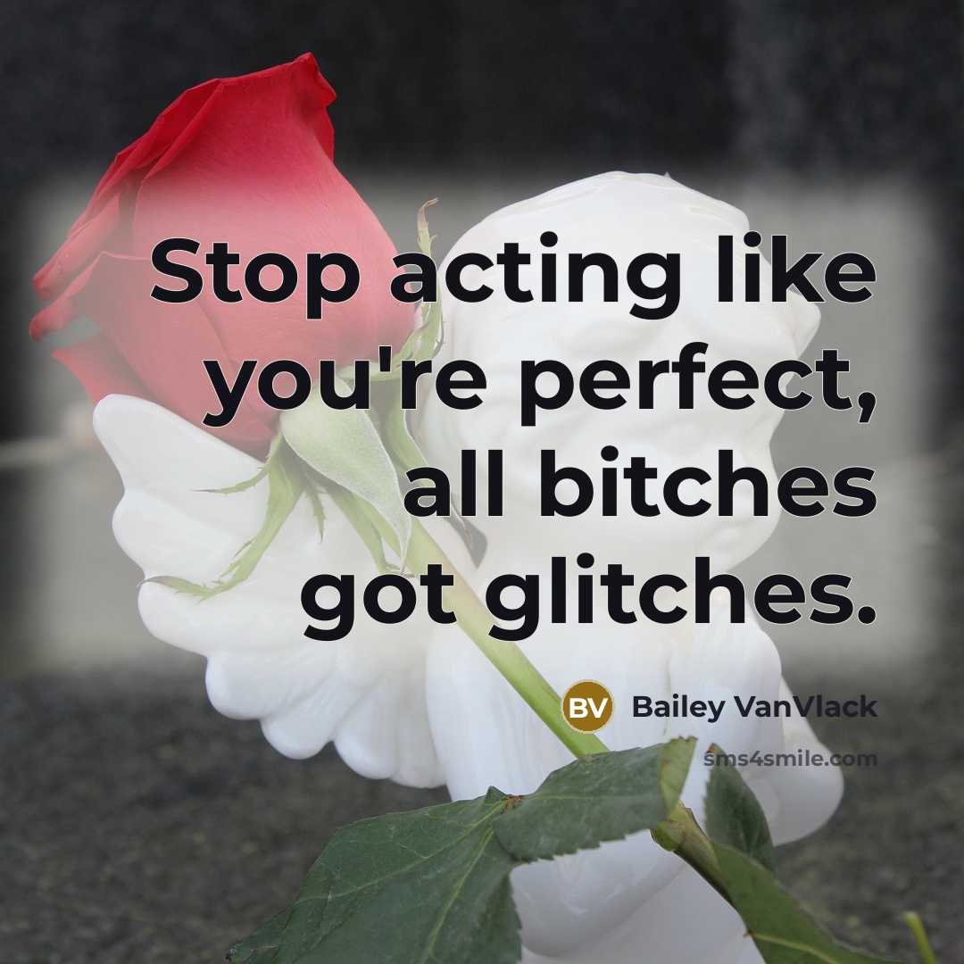 “Stop acting like you're perfect, all bitches got glitches.” quote by Bailey VanVlack