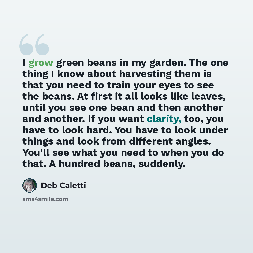 “I grow green beans in my garden. The one thing I know about harvesting them is that you need to train your eyes to see the beans. At first it all looks like leaves, until you see one bean and then another and another. If you want clarity, too, you have to look hard. You have to look under things…” quote by Deb Caletti