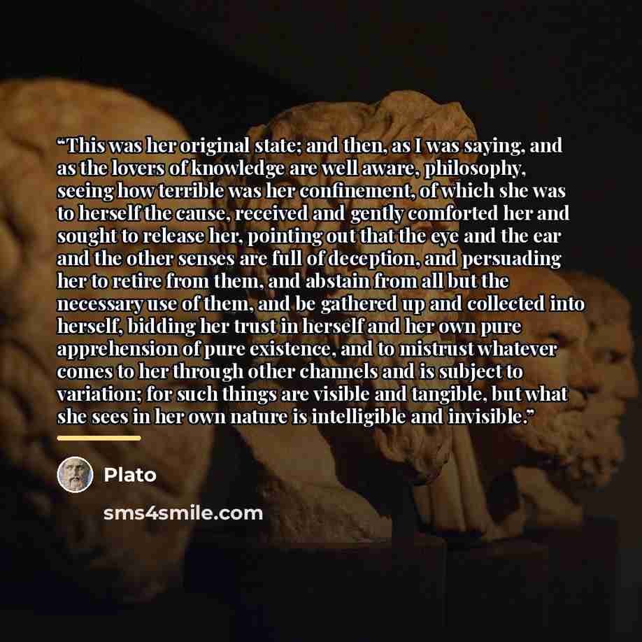 “This was her original state; and then, as I was saying, and as the lovers of knowledge are well aware, philosophy, seeing how terrible was her confinement, of which she was to herself the cause, received and gently comforted her and sought to release her, pointing out that the eye and the ear and…” quote by Plato