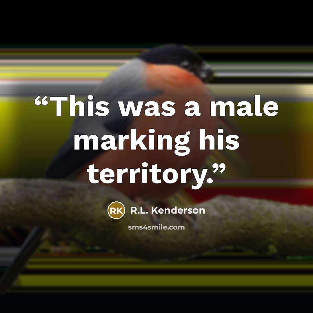 “This was a male marking his territory.” quote by R.L. Kenderson
