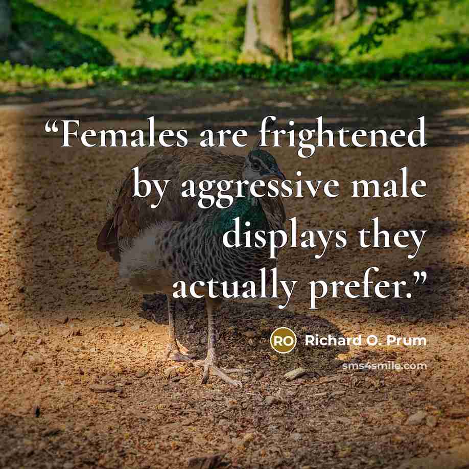 “Females are frightened by aggressive male displays they actually prefer.” quote by Richard O. Prum