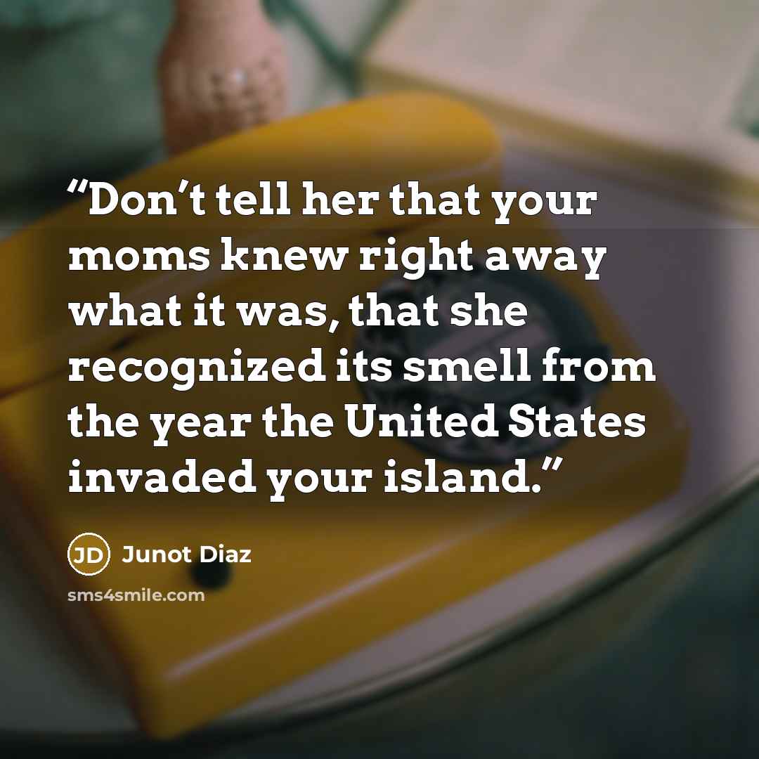 “Don’t tell her that your moms knew right away what it was, that she recognized its smell from the year the United States invaded your island.” quote by Junot Díaz