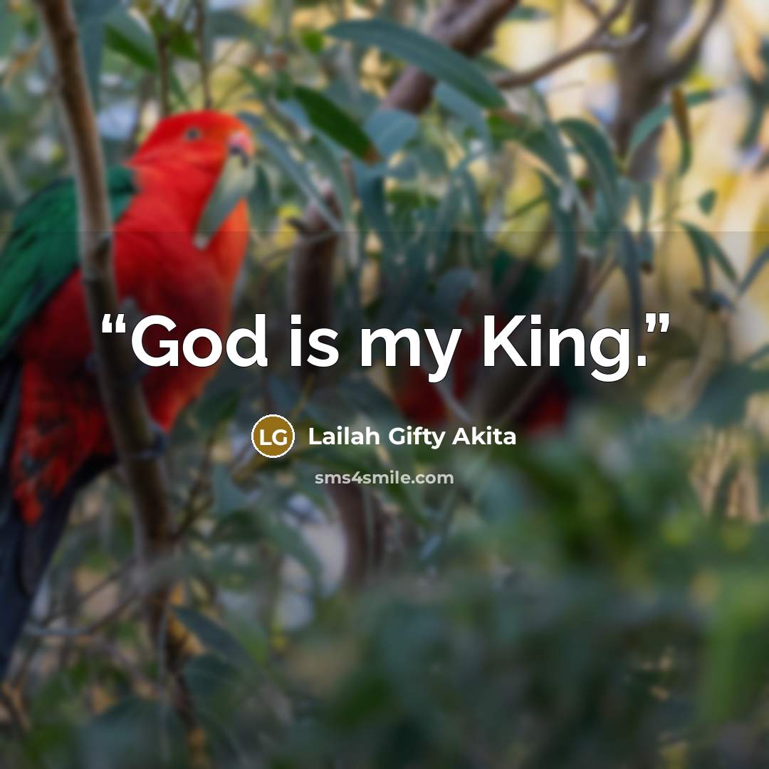 “God is my King.” quote by Lailah Gifty Akita