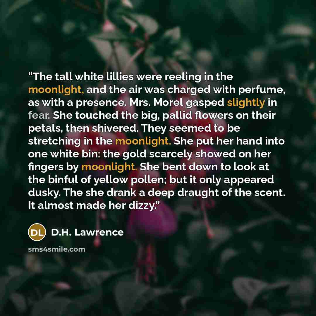 “The tall white lillies were reeling in the moonlight, and the air was charged with perfume, as with a presence. Mrs. Morel gasped slightly in fear. She touched the big, pallid flowers on their petals, then shivered. They seemed to be stretching in the moonlight. She put her hand into one white…” quote by D.H. Lawrence