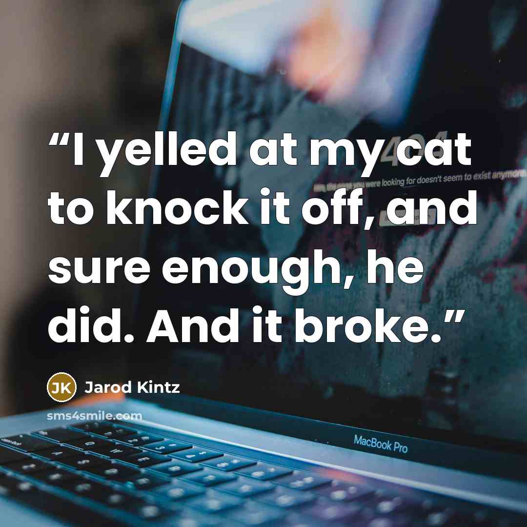 “I yelled at my cat to knock it off, and sure enough, he did. And it broke.” quote by Jarod Kintz