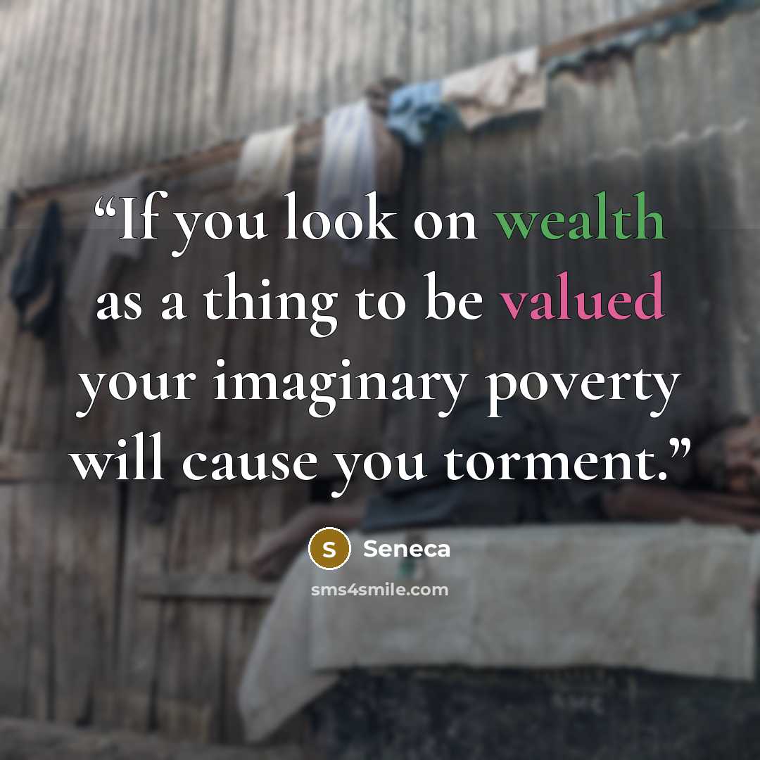 “If you look on wealth as a thing to be valued your imaginary poverty will cause you torment.” quote by Seneca