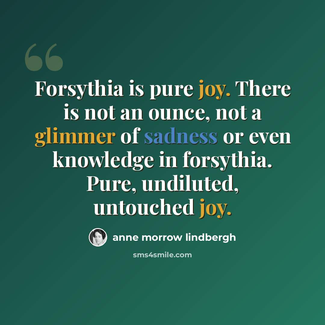 “Forsythia is pure joy. There is not an ounce, not a glimmer of sadness or even knowledge in forsythia. Pure, undiluted, untouched joy.” quote by Anne Morrow Lindbergh