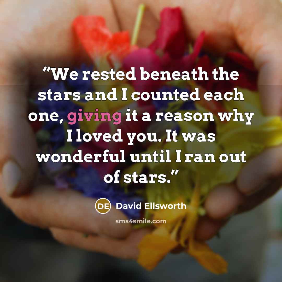 “We rested beneath the stars and I counted each one, giving it a reason why I loved you. It was wonderful until I ran out of stars.” quote by David Ellsworth