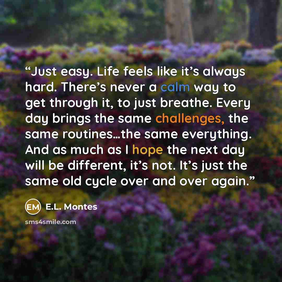 “Just easy. Life feels like it’s always hard. There’s never a calm way to get through it, to just breathe. Every day brings the same challenges, the same routines…the same everything. And as much as I hope the next day will be different, it’s not. It’s just the same old cycle over and over again.” quote by E.L. Montes