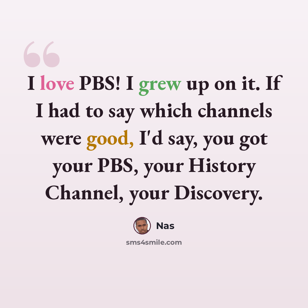 “I love PBS! I grew up on it. If I had to say which channels were good, I'd say, you got your PBS, your History Channel, your Discovery.” quote by Nas