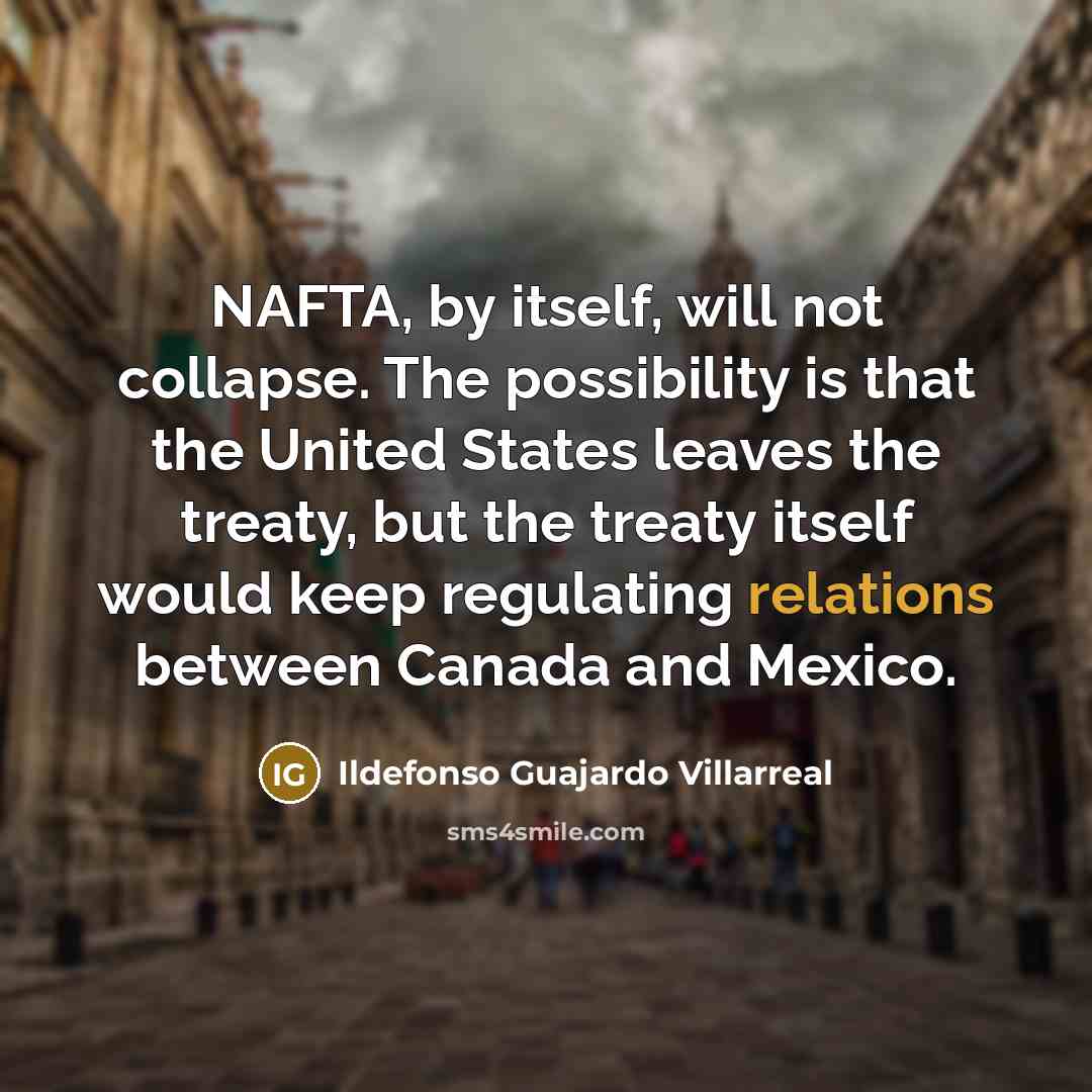 “NAFTA, by itself, will not collapse. The possibility is that the United States leaves the treaty, but the treaty itself would keep regulating relations between Canada and Mexico.” quote by Ildefonso Guajardo Villarreal