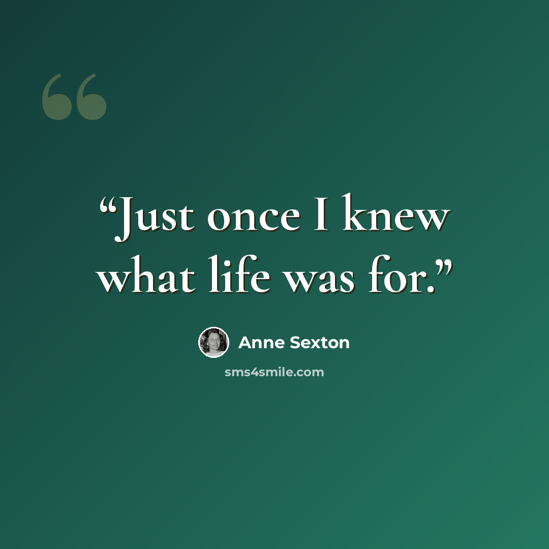 “Just once I knew what life was for.” quote by Anne Sexton