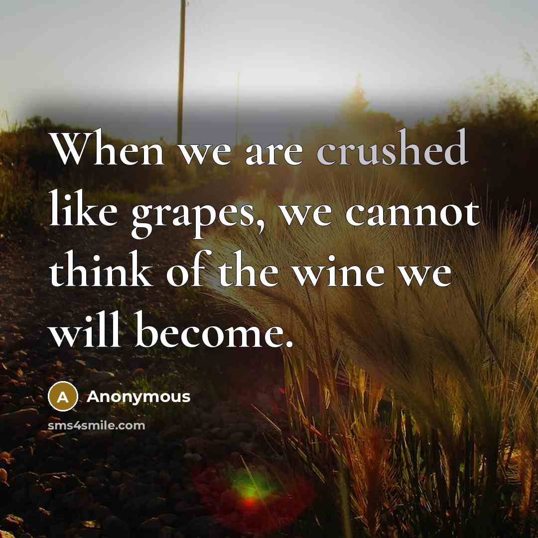 “When we are crushed like grapes, we cannot think of the wine we will become.” quote by Anonymous