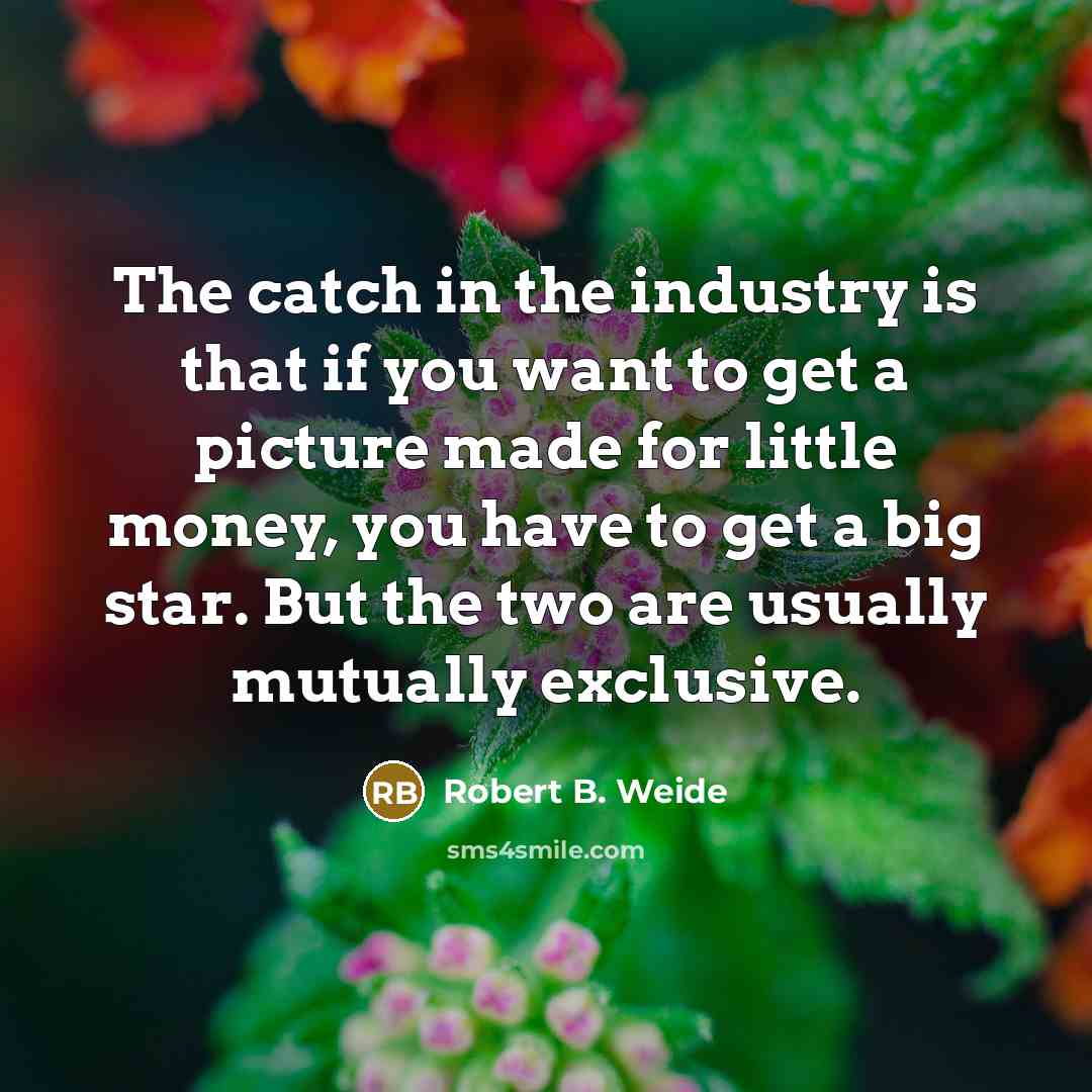 “The catch in the industry is that if you want to get a picture made for little money, you have to get a big star. But the two are usually mutually exclusive.” quote by Robert B. Weide