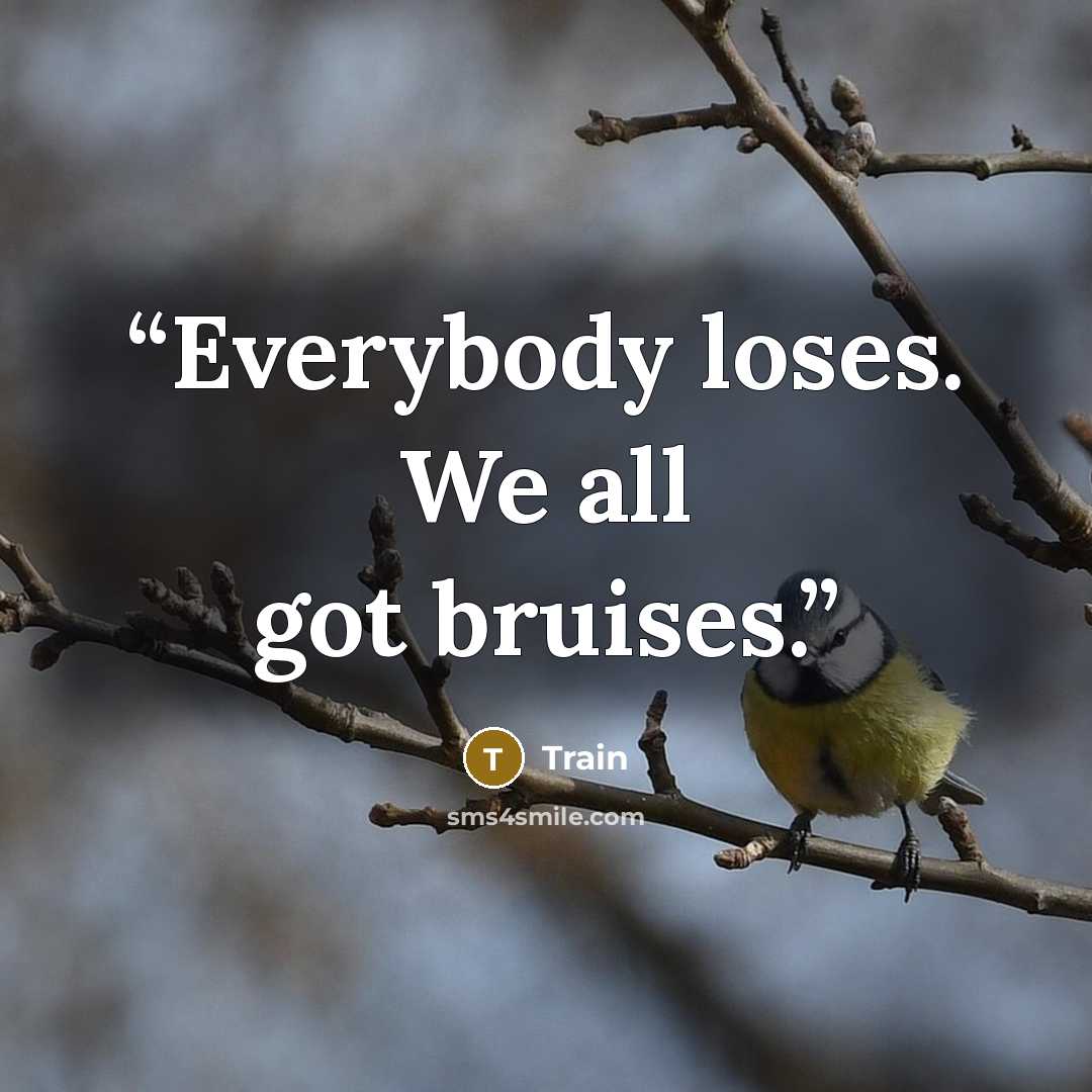 “Everybody loses. We all got bruises.” quote by Train