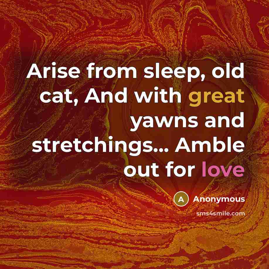 “Arise from sleep, old cat, And with great yawns and stretchings... Amble out for love” quote by Anonymous