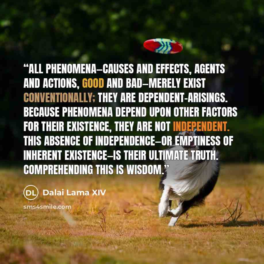 “All phenomena—causes and effects, agents and actions, good and bad—merely exist conventionally; they are dependent-arisings. Because phenomena depend upon other factors for their existence, they are not independent. This absence of independence—or emptiness of inherent existence—is their ultimate…” quote by Dalai Lama XIV