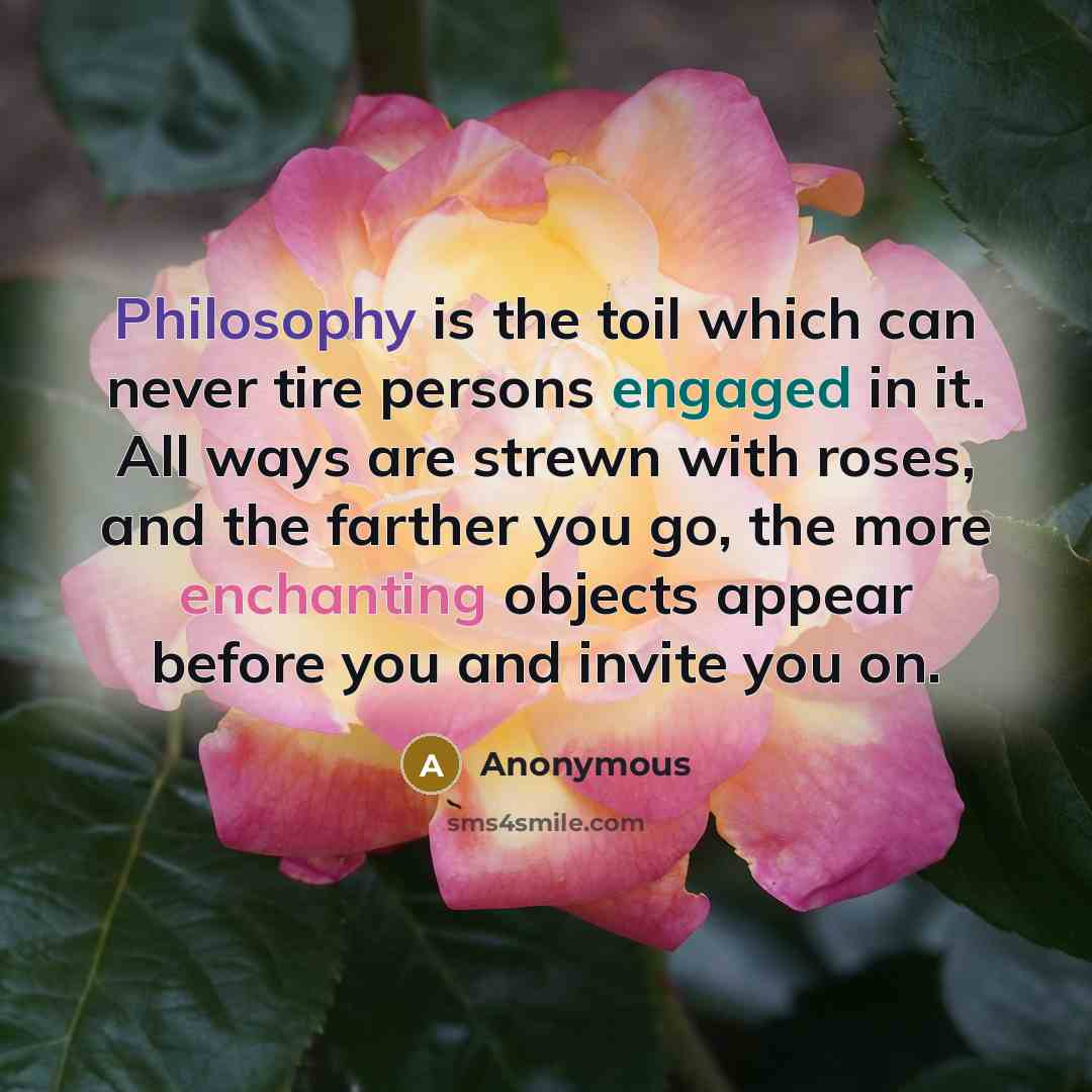 “Philosophy is the toil which can never tire persons engaged in it. All ways are strewn with roses, and the farther you go, the more enchanting objects appear before you and invite you on.” quote by Anonymous
