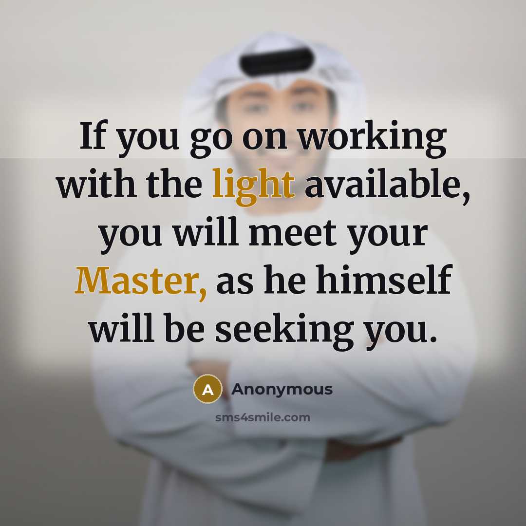 “If you go on working with the light available, you will meet your Master, as he himself will be seeking you.” quote by Anonymous