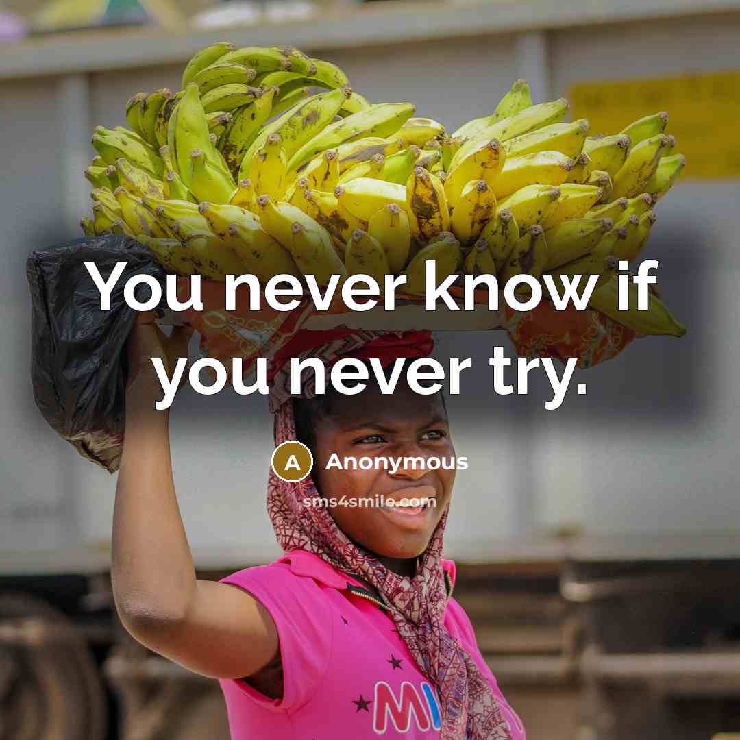 “You never know if you never try.” quote by Anonymous